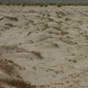 Link to pictures and information on gypsum dunes