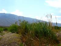 01Arundo_Sta_Tecla2.jpg