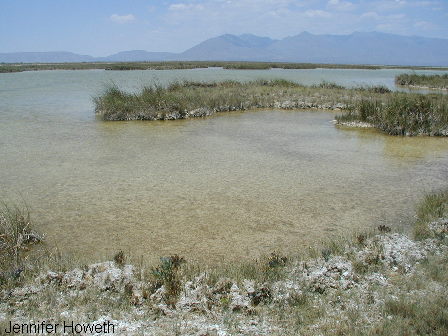 Photo taken in Cuatro Cienegas